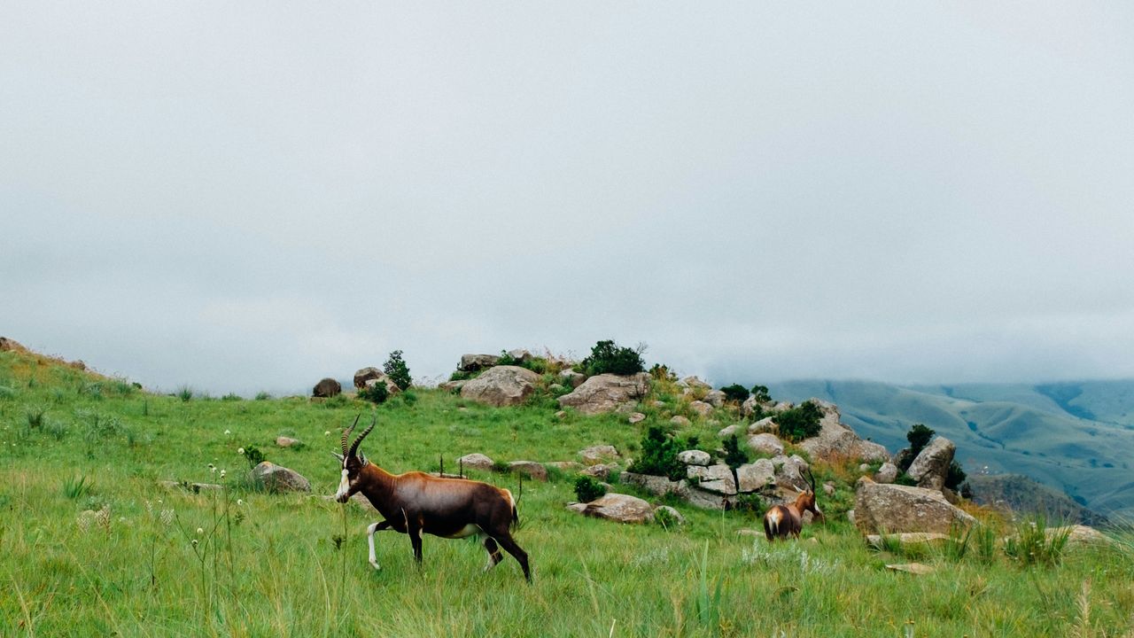 Hoe kies je de beste rondreis door Zuid-Afrika? | Matoke Tours